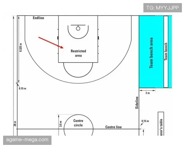 新手教学型：NBA与FIBA罚球规则有哪些不同？新手必看解析指南