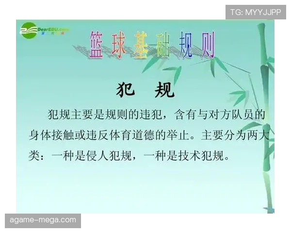 篮球技术犯规处罚规则详解，明确判罚标准与执行流程细节