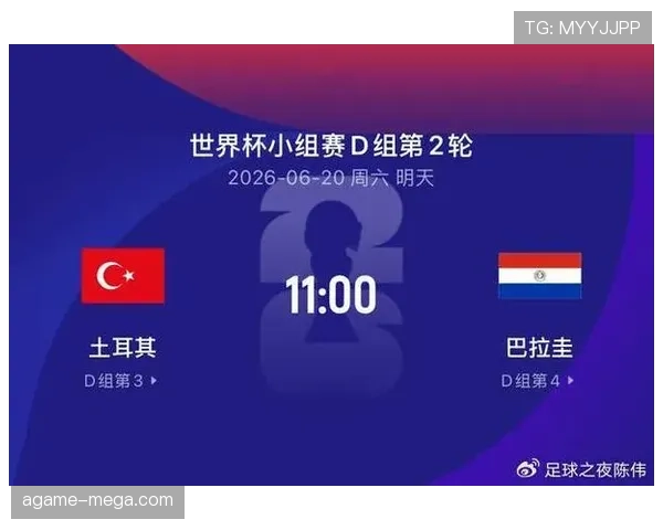 土耳其队世界杯小组赛战报：关键比赛结果汇总